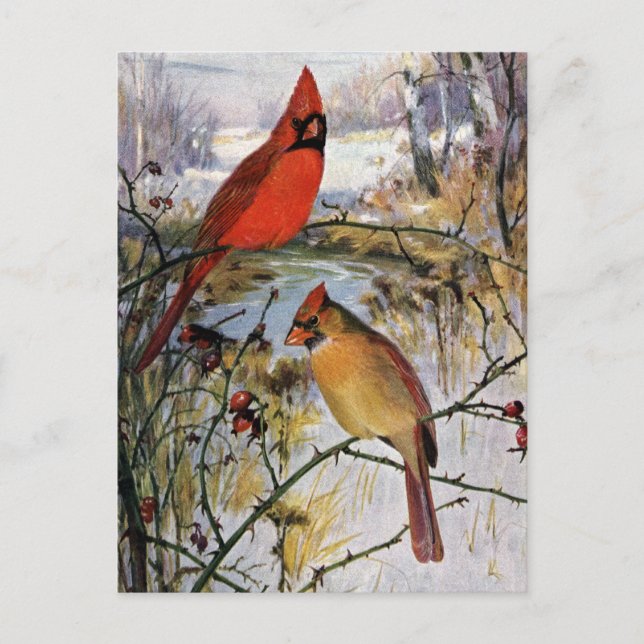 Postal Cardenales en invierno (Anverso)