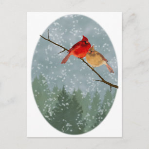 Postal cardenales en invierno