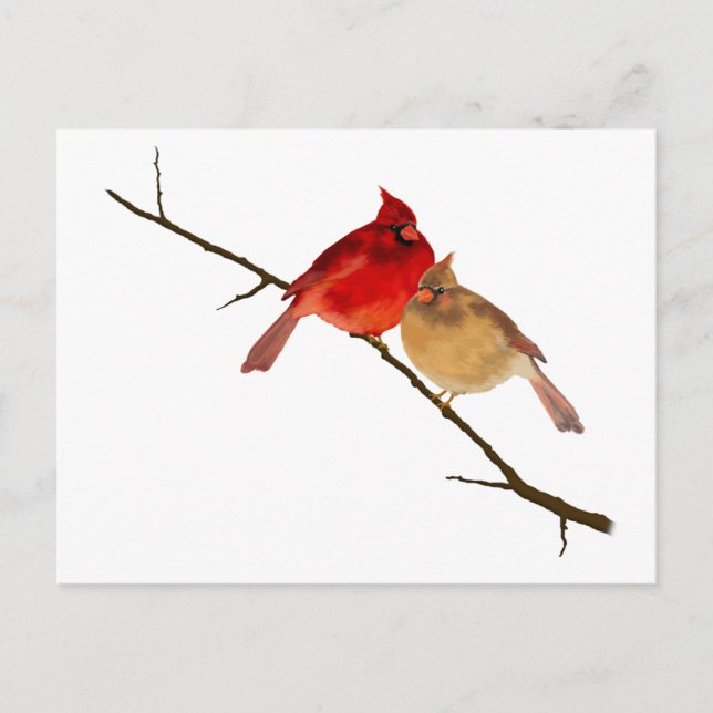 Postal cardenales en una rama (Anverso)
