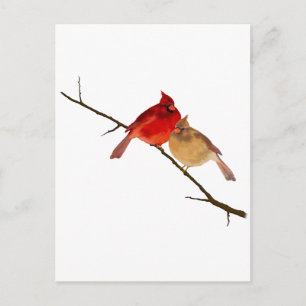 Postal cardenales en una rama