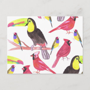 Postal Cardenales rojos, tocanes y aletas gouldianas