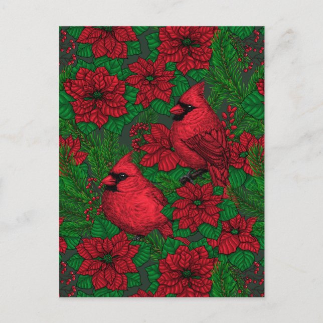 Postal Cardenales y poinsettia para Navidades (Anverso)