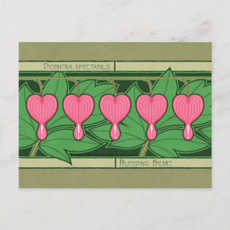 Postal cardíaca sangrante