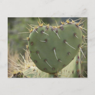 Postal Cardilla de Pear Pricky