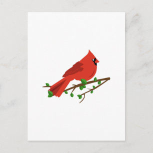 Postal Cardinal Bird