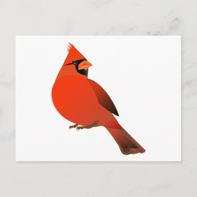 Postal Cardinal Bird masculino (Anverso)