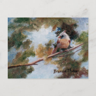 Postal Cardinal de bebé