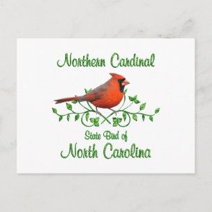 Postal Cardinal North Carolina Bird