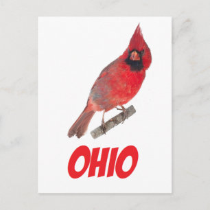 Postal Cardinal Ohio