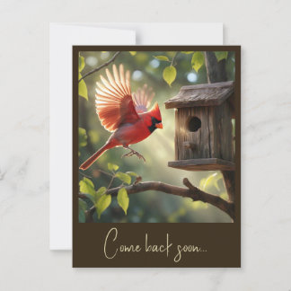 POSTAL " CARDINAL ROJO "