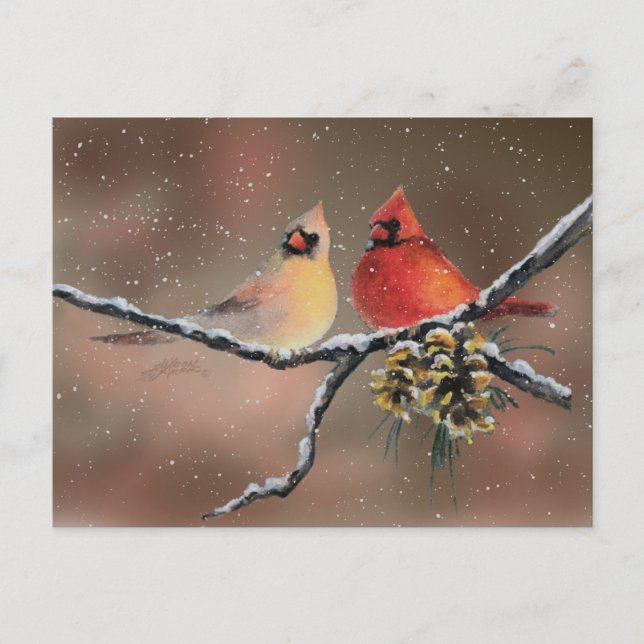 Postal CARDINALES y NIEVE de SHARON SHARPE (Anverso)
