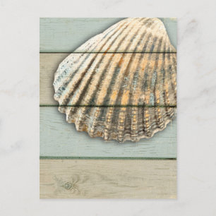 Postal Cardita Shell