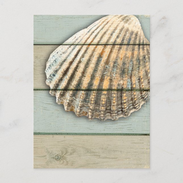 Postal Cardita Shell (Anverso)