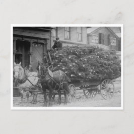 Postal Carga vaginal de árboles de Navidad