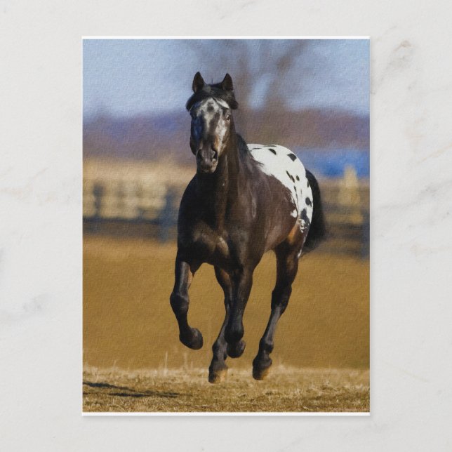 Postal Cargador (Anverso)