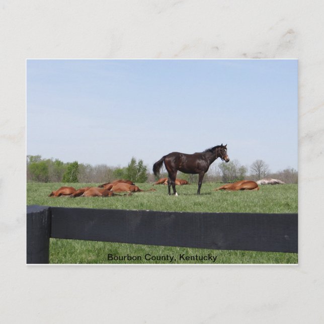 Postal Cargo de Watch (Anverso)