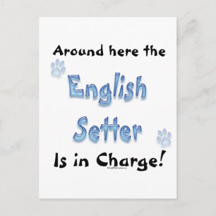 Postal Cargo por asiento en inglés