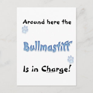 Postal Cargo por bullmastiff