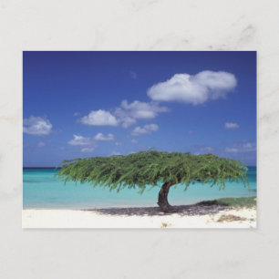 Postal Caribe, Aruba. Playa de Eagle