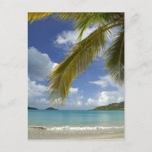 Postal Caribe, Islas Vírgenes de los Estados Unidos, St.T