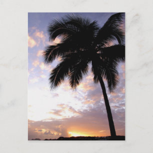 Postal Caribe, Islas Vírgenes Estadounidenses, St.Thomas,