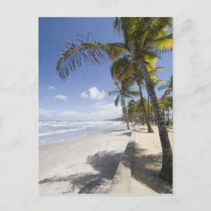 Postal Caribe - Trinidad - Playa Manzanilla en
