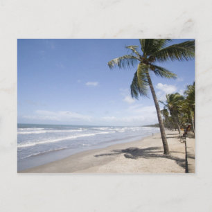 Postal Caribe - Trinidad - Playa Manzanilla en 2