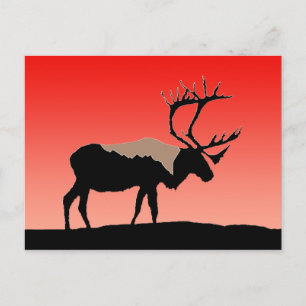 Postal Caribou at Sunset - Arte original de la vida salva