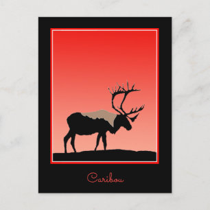 Postal Caribou at Sunset - Arte original de la vida salva