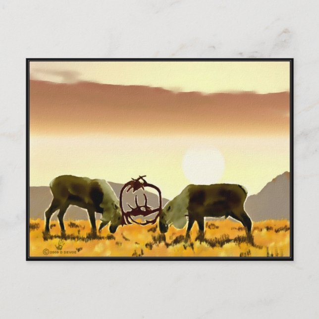 Postal Caribou Duel (Anverso)
