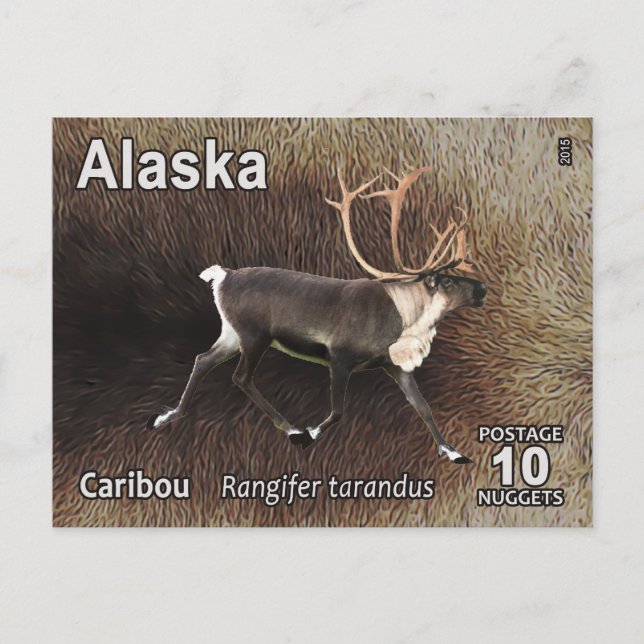 Postal Caribou (Reno) - Postage de Alaska (Anverso)