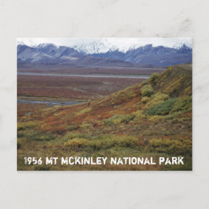Postal Caribou Tundra Turning Red MT McKinley National PK