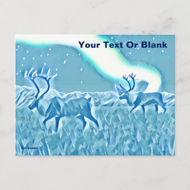 Postal Caribú azul cristalino (Anverso)