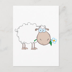 Postal Caricatura de Oveja Blanca comiendo una flor