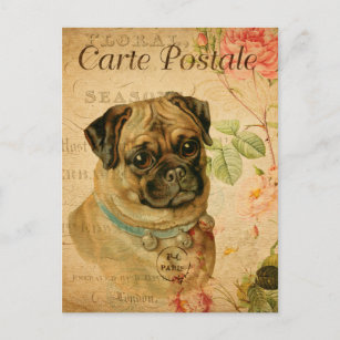 Postal Caricatura francesa con flor de perro de pug de vi