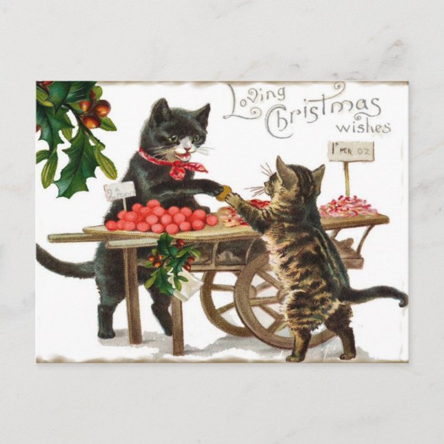 Postal cariñosa de los deseos del navidad del gato (Anverso)