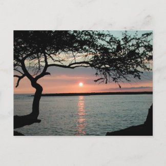 Postal Carmel al atardecer, Ca.