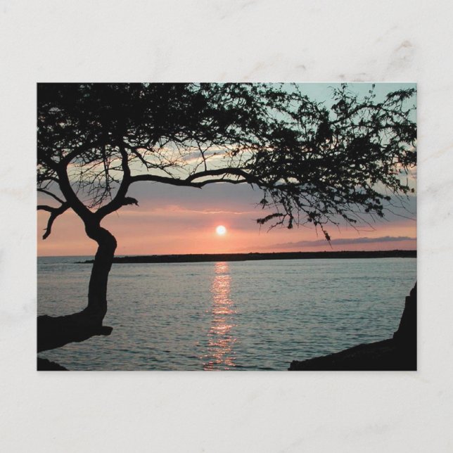 Postal Carmel al atardecer, Ca. (Anverso)