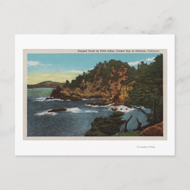 Postal Carmel, CA - Costa empantanada en Point Lobos (Anverso)