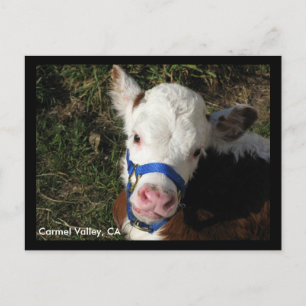 Postal Carmel Valley, CA Postcard