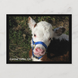 Postal Carmel Valley, CA Postcard