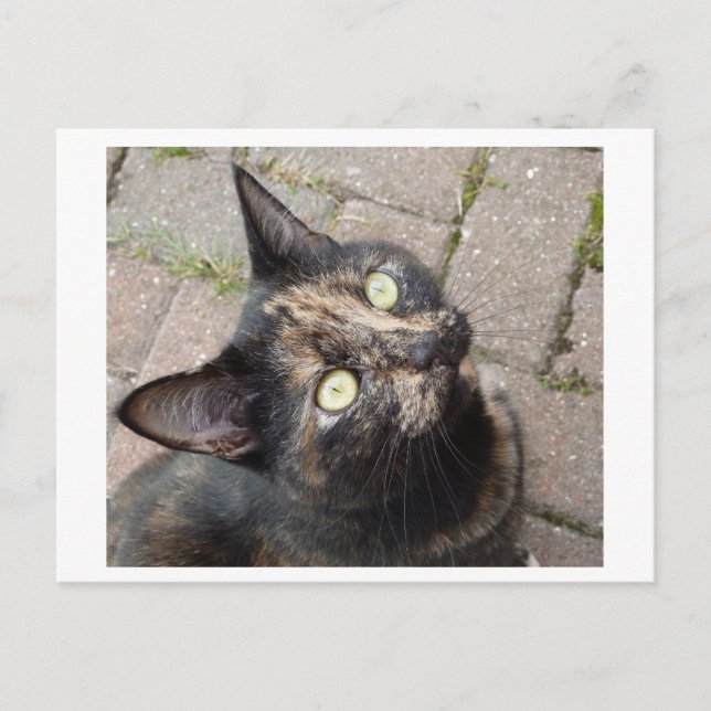 Postal Carmen (Anverso)