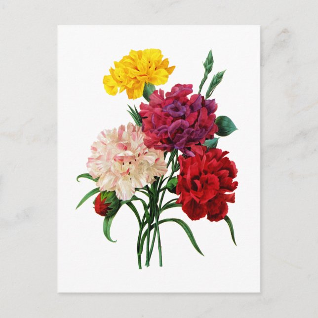 Postal Carnation y Marigold Bouquet por Redoute (Anverso)