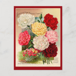 Postal Carnations Vintage Seed Packet Art on Cards