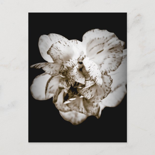 Postal Carnaval (Anverso)