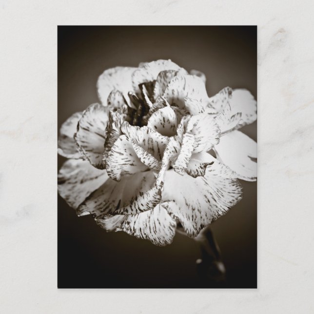 Postal Carnaval (Anverso)