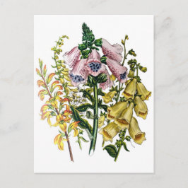 Postal Carnaval de flores