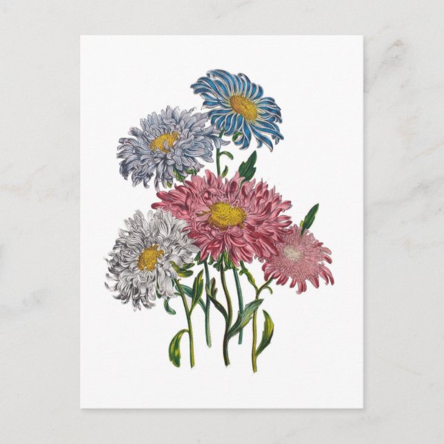 Postal Carnaval de flores (Anverso)