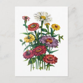 Postal Carnaval de flores