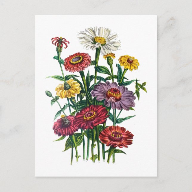 Postal Carnaval de flores (Anverso)